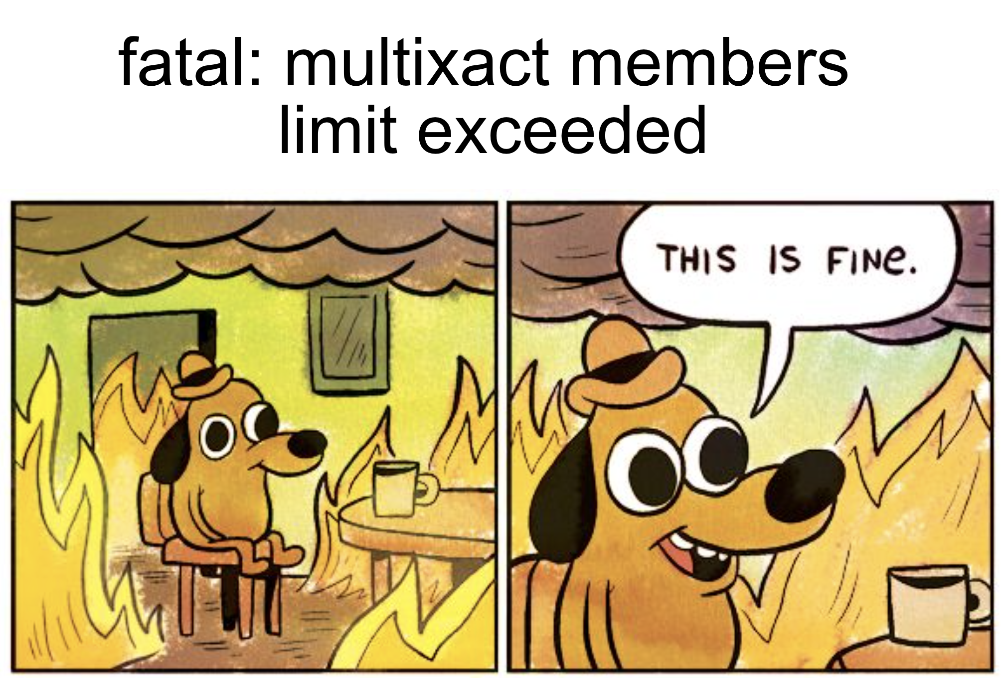 multixact-this-is-fine